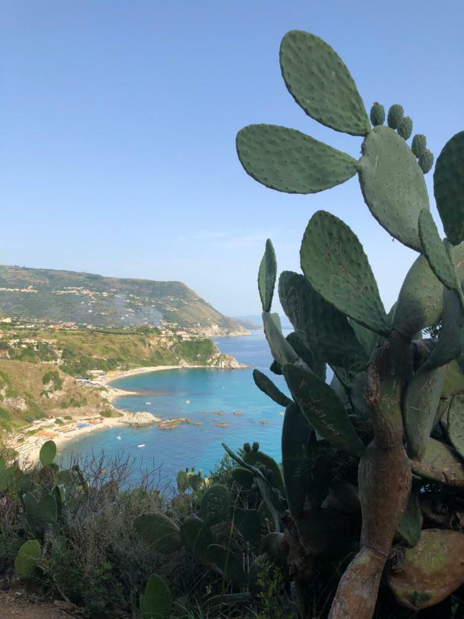 La Marinette Apartment Tropea Ngoại thất bức ảnh